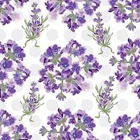 fundo de flores de lavanda sem costura. ilustração botânica. vetor