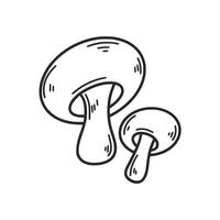 champignons esboçar ilustração vetorial isolada vetor