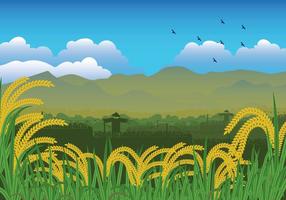 Ilustração gratuita do campo de arroz vetor