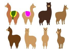 Vector de alpaca ou lama livre