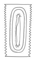 ilustração em vetor contorno preto e branco de um preservativo