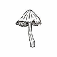 vetor de ilustração de cogumelo único para ativos vegetais, natureza, educação, impressão e muito mais