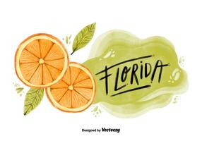 Flórida Orange County Watercolor Vector