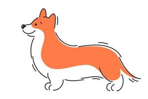 cachorro corgi. ilustração vetorial de desenho animado vetor