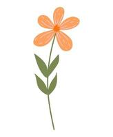 clipart de ervas, floral desenhado à mão. vetor de doodle de cor.