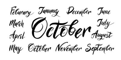 os nomes manuscritos dos meses dezembro, janeiro, fevereiro, março, abril, maio, junho, julho, agosto, setembro, outubro, novembro vetor