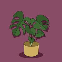 simplicidade monstera planta desenho à mão livre design plano. vetor