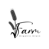 design de logotipo de trigo em estilo abstrato, símbolo de sinal orgânico. vetor