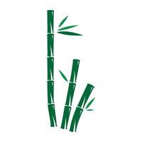 bambu com folha verde vetor