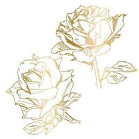 rosa desenhada à mão. ilustração vetorial. estilo de tatuagem vintage rosa. esboço de motivo de flor para design. ilustração de tinta isolada. vetor