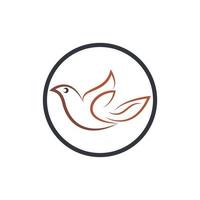 logotipo da pomba asa de pássaro vetor