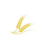 vetor de logotipo de trigo