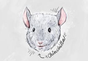 Fundo Chinchilla Gratuito vetor