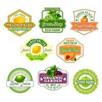 ícones vetoriais para suco de frutas ou mercado agrícola vetor