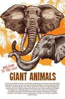 cartaz de vetor de zoológico de elefantes de animais africanos
