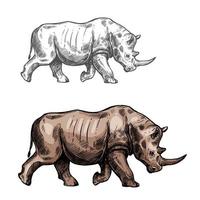 rinoceronte desenho vetorial ícone isolado de animais selvagens vetor