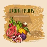 cartaz de frutas tropicais frescas exóticas de vetor