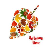 cartaz de folha de outono com folhagem de outono, cogumelo vetor