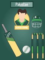 ícones de críquete definidos para a equipe do Paquistão vetor