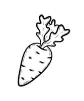 cenoura desenhada de mão. desenho vegetal isolado no fundo branco. alimentos orgânicos, alimentação saudável. ilustração vetorial plana em estilo doodle. vetor