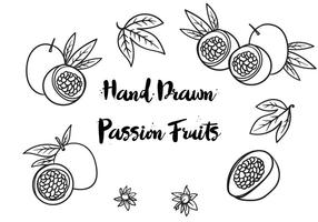 Vector de frutas de paixão desenhadas mão livre
