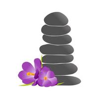 equilíbrio de rochas e logotipo de flores vetor
