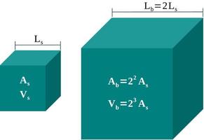 lei do cubo quadrado, relação entre comprimentos, áreas e volumes vetor