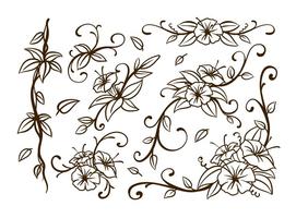 Liana Swirl Flower Vector