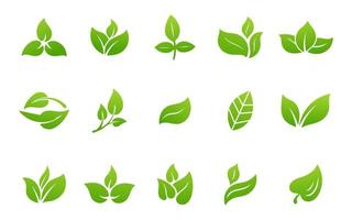 conjunto de folhas verdes coleção ecológica vetor