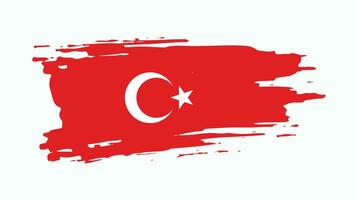 vetor de bandeira de turquia abstrata profissional de pintura à mão