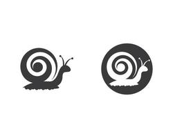 modelo de logotipo de caracol vetor