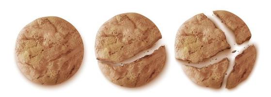 vista superior de biscoitos de aveia, biscoito inteiro ou rachado vetor