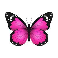 borboleta monarca voadora realista rosa em um fundo branco. ilustração vetorial. design de impressão decorativa. asas de fada coloridas. vetor