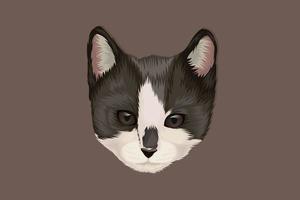 cabeça de gato preto e branco desenho à mão vetor