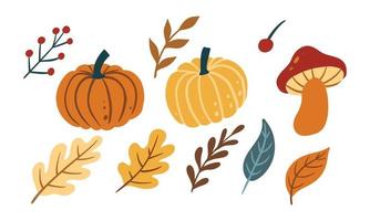 conjunto de folha fofa, vegetais e cogumelos para elemento de design de outono. coleção de desenhos animados simples de ilustração desenhada à mão da natureza. vetor
