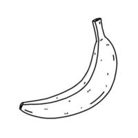 banana isolada no fundo branco. alimentos saudáveis orgânicos. ilustração vetorial desenhada à mão em estilo doodle. perfeito para cartões, logotipo, decorações, receitas, vários designs. vetor