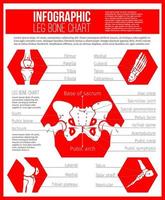 gráfico de anatomia de ossos humanos para design de medicina vetor