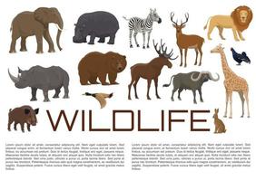 cartaz de vida selvagem vetorial de animais selvagens vetor