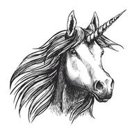 desenho de vetor de cavalo unicórnio conto de fadas cabeça de animal