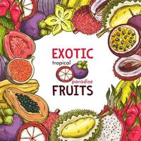 cartaz de desenho vetorial de frutas exóticas de loja de frutas vetor