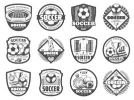 distintivo de escudo heráldico da liga de futebol ou futebol vetor