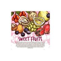 cartaz de esboço de frutas exóticas ou frutas tropicais doces vetor