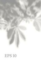sombra de planta natural transparente. sobreposição de efeito de luz. grade de malha. apresentação de seu cartão de design, pôster, ilustração realista de fotos de histórias vetor