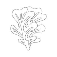 folhas de alface de folha de carvalho, comida vegetariana orgânica saudável, ilustração vetorial em um fundo branco vetor