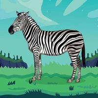 zebra em pé, ilustração vetorial