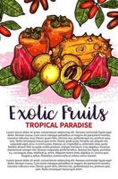 cartaz de esboço de frutas tropicais exóticas de frutas vetoriais vetor