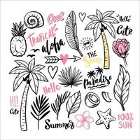 folhas tropicais e doodle de verão de palmeira. vetor