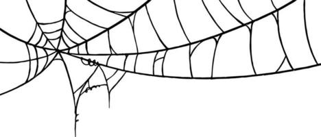 fundo de festa de halloween com teias de aranha isoladas png ou textura transparente, espaço em branco para texto, modelo de elemento para pôster, folhetos, publicidade online, ilustração vetorial vetor