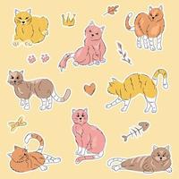 Comportamento Do Gato. Poses Felinas, Personagens De Gatos De Desenho  Animado Emoções Engraçadas, Medo Gatinho Laranja Assustado Animal De  Estimação Cautelosamente Posar E Linguagem Corporal, Feliz Brincalhão  Animais De Estimação Ilustração Vetorial