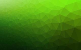 textura poligonal abstrata de vetor verde claro.